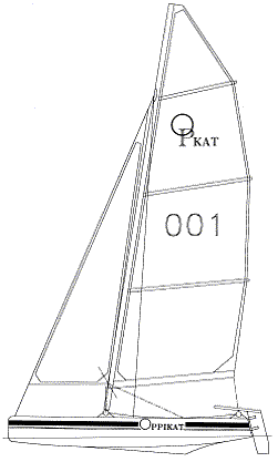 Oppikat training catamaran